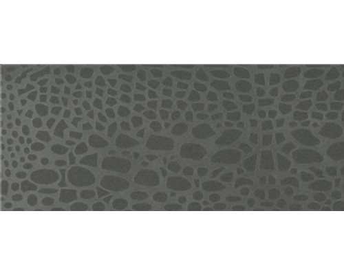 2003 Crocodile, Motivo