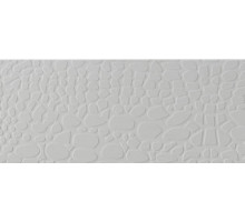 2141 Crocodile, Motivo
