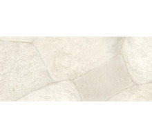 8141 White Quartz, Concetto
