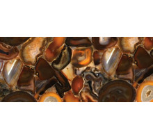 8310 Brown Agate, Concetto