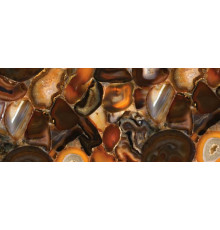 8310 Brown Agate, Concetto