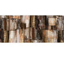 8331 Petrified Wood Classic, Concetto
