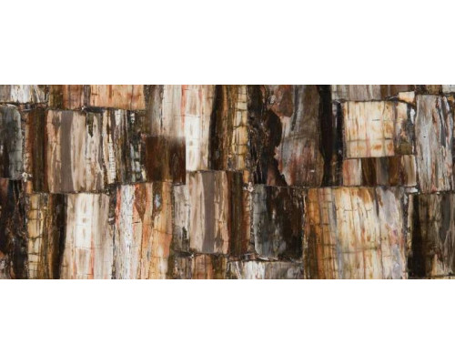 8331 Petrified Wood Classic, Concetto