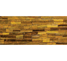 8630 Tiger Eye, Concetto