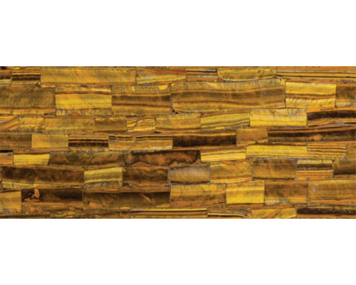 8630 Tiger Eye, Concetto
