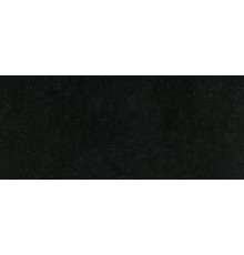 CL109 EBONY FIELD, Renaissance