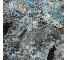 LABRADORITE BIG FLOWERS