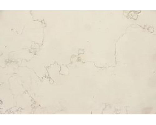 PERLINO BIANCO (Sale)
