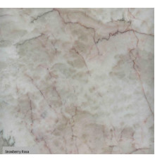 SNOWBERRY ROSA