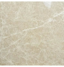 SPIDER BEIGE