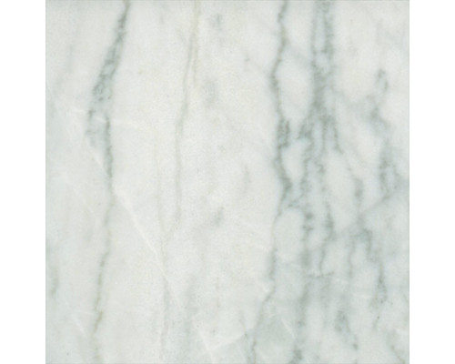 STATUARY VEIN (белый с серыми прожилками)
